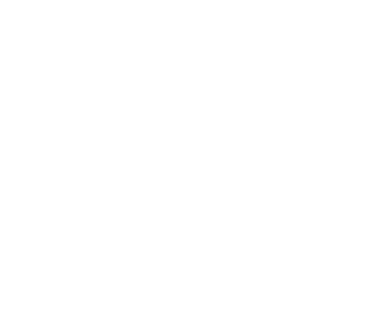 Website Wartung