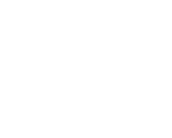 Website erstellen lassen